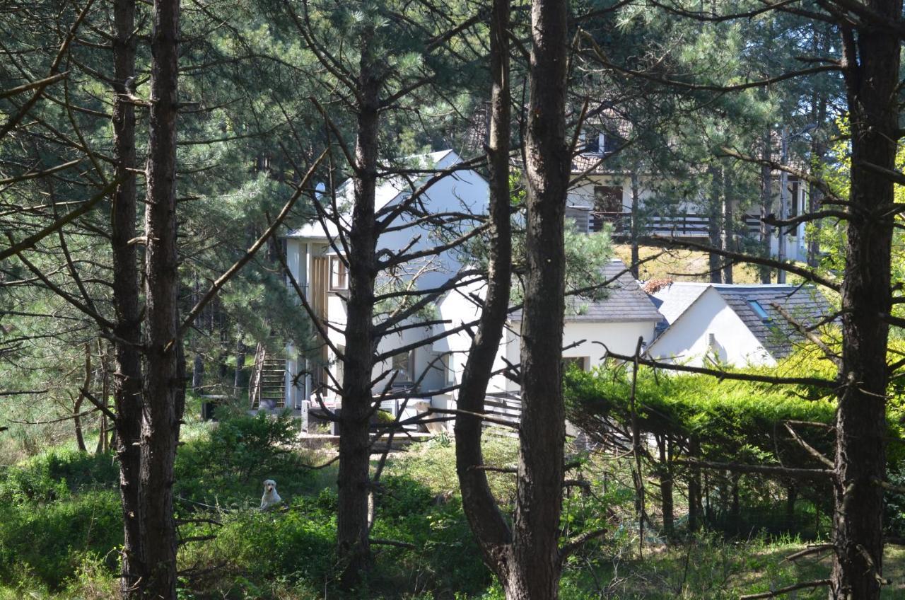 La Villa Dans Les Pins Quend Exterior photo